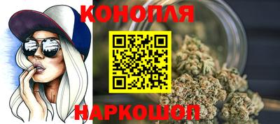 Альфа ПВП Камышлов