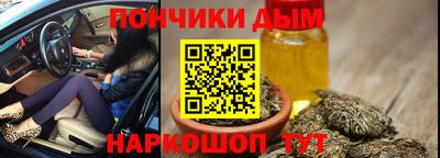 прущие грибы Кандалакша