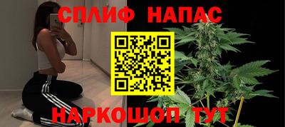 Альфа ПВП Камышлов
