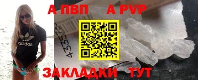 прущие грибы Кандалакша