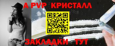 прущие грибы Кандалакша