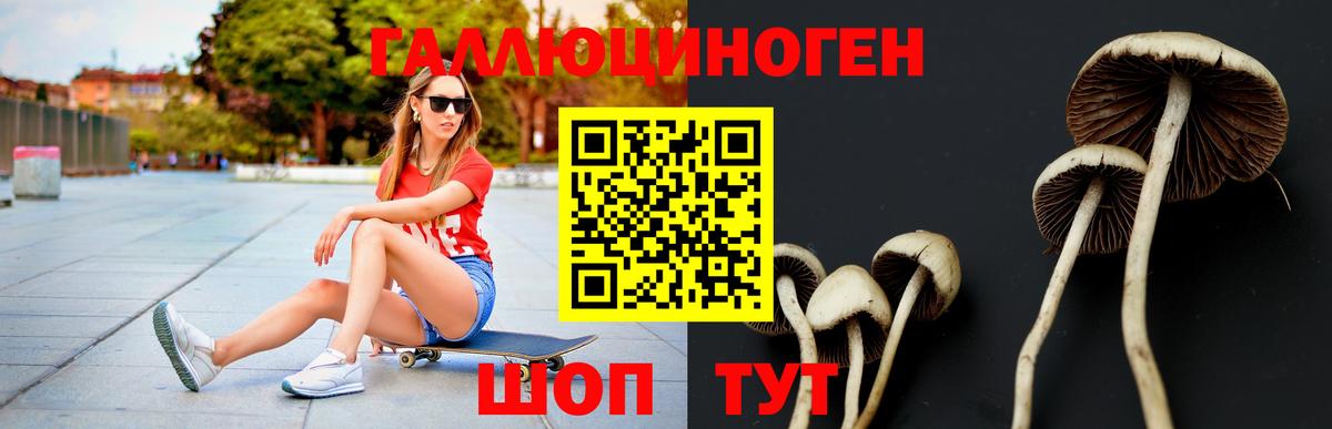 Галлюциногенные грибы Psilocybe  Вход с VPN  Владивосток 